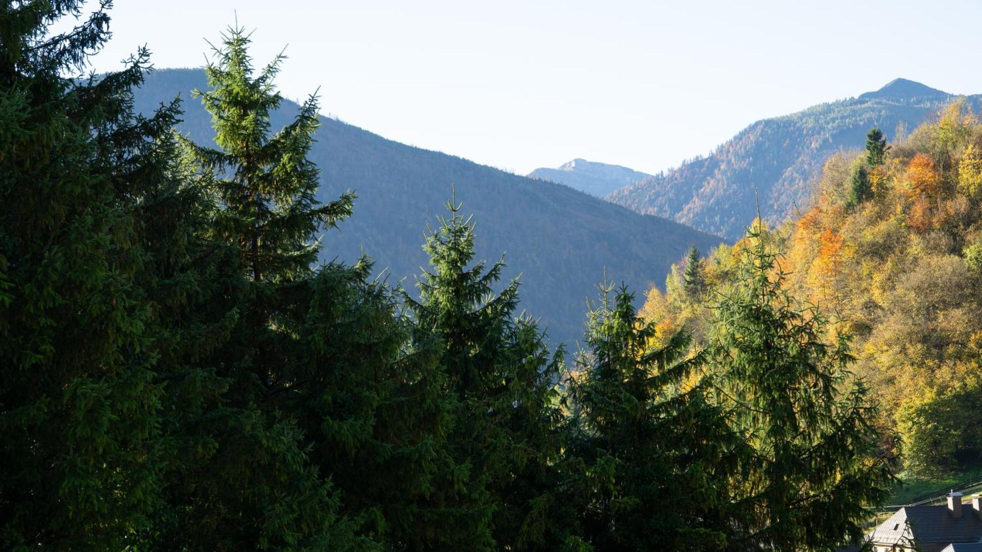 Ferienhaus Alexandra In Ebensee Zewnętrze zdjęcie